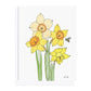 BT 013 - Daffodils