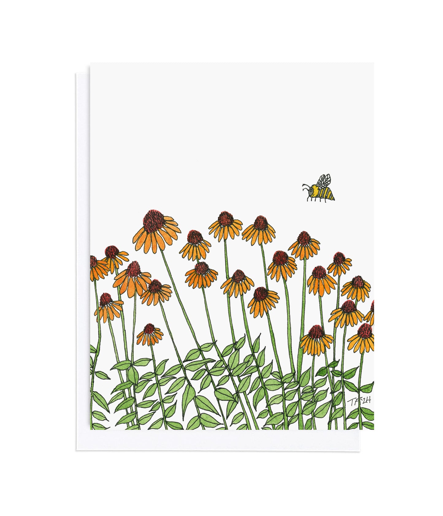 BT 022 Echinacea and Bee (Illustration extends to back)