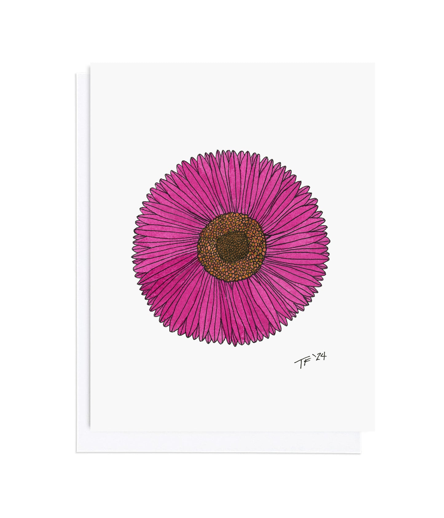 BT 023 - Fuchsia Gerbera Daisy