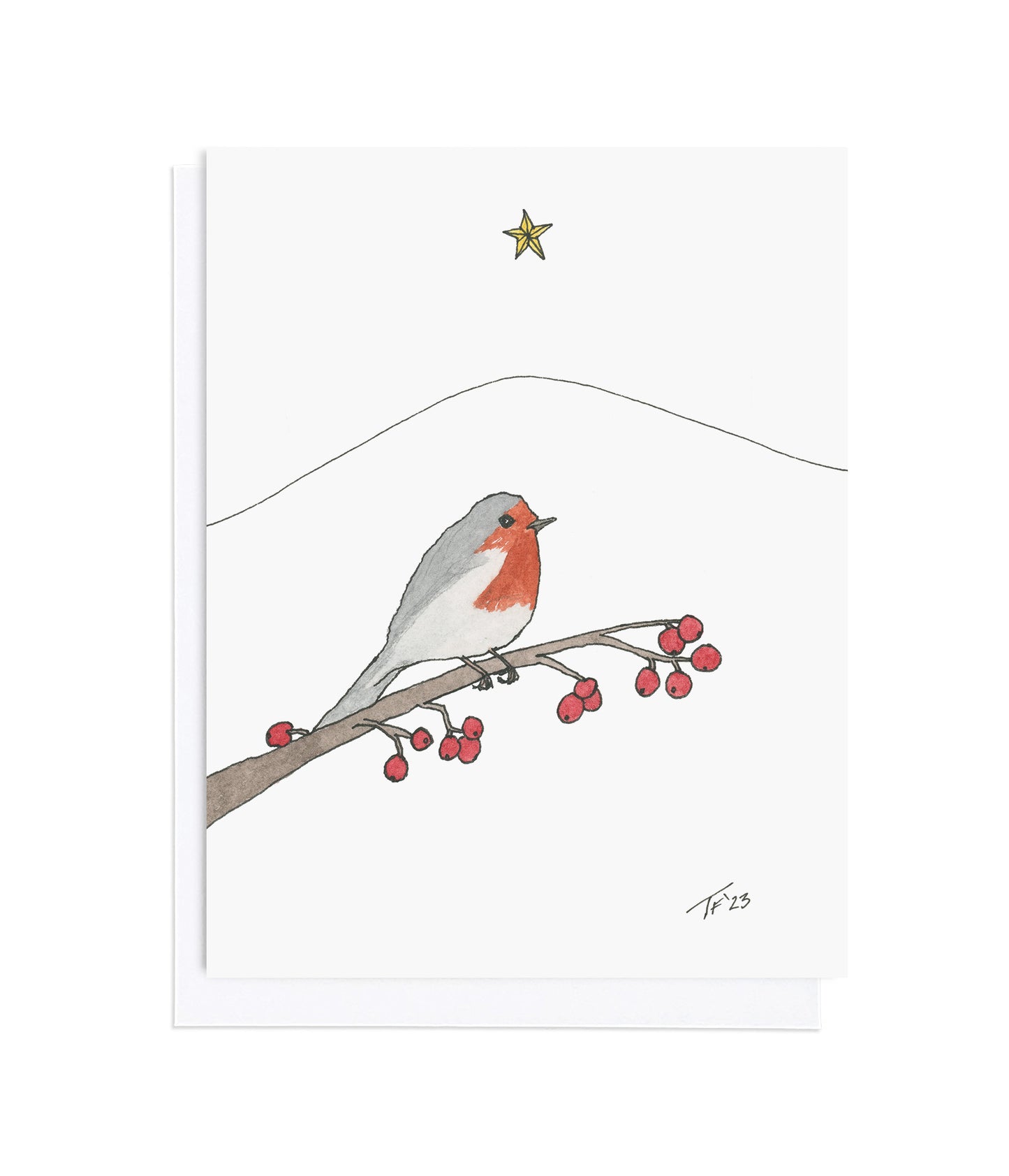 CS 014 - ROBIN REDBREAST