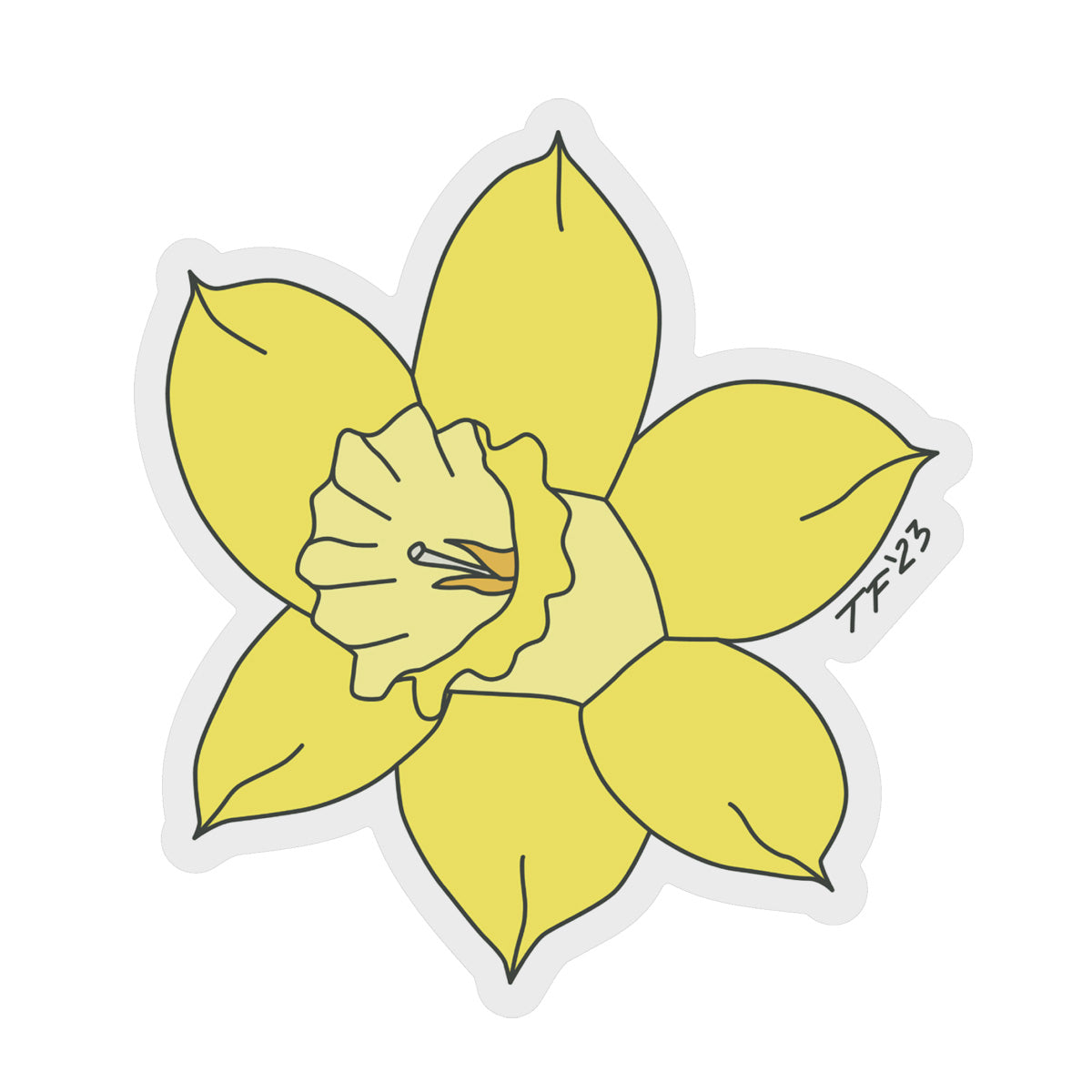 STDA 001 - DAFFODIL