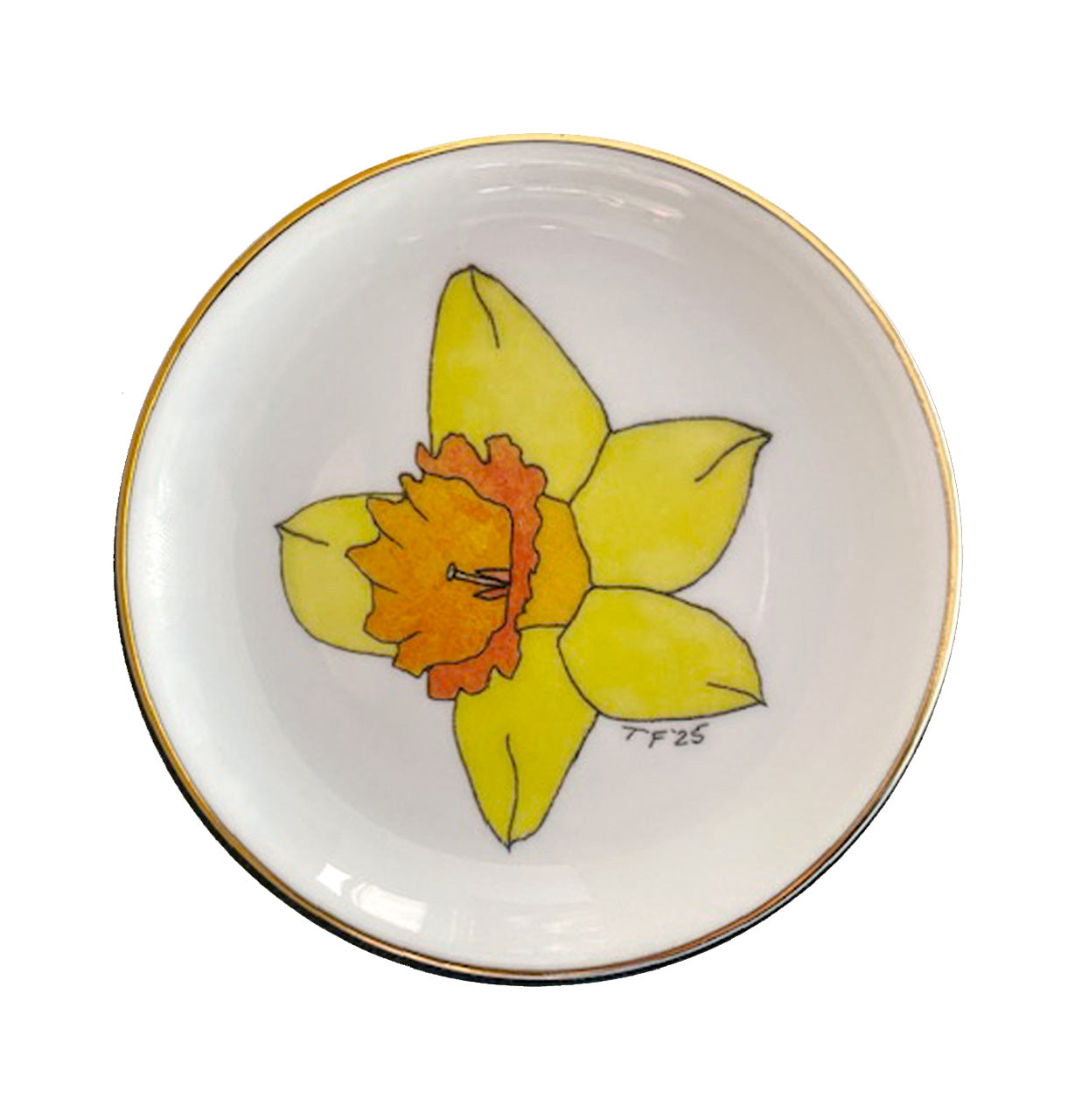 STDA 002 Daffodil