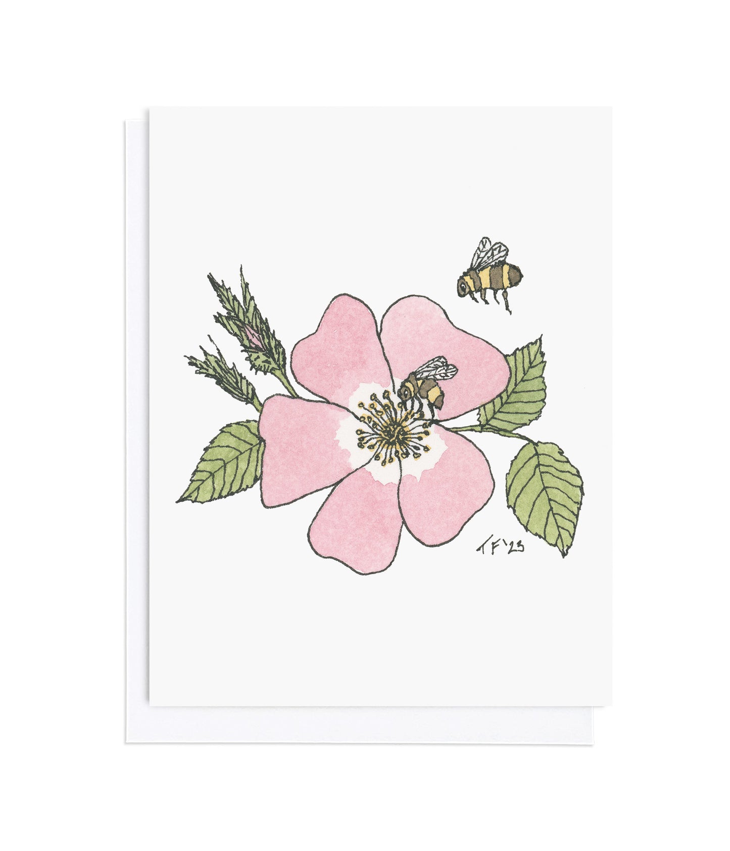 SB 002 - Sweet Briar Rose
