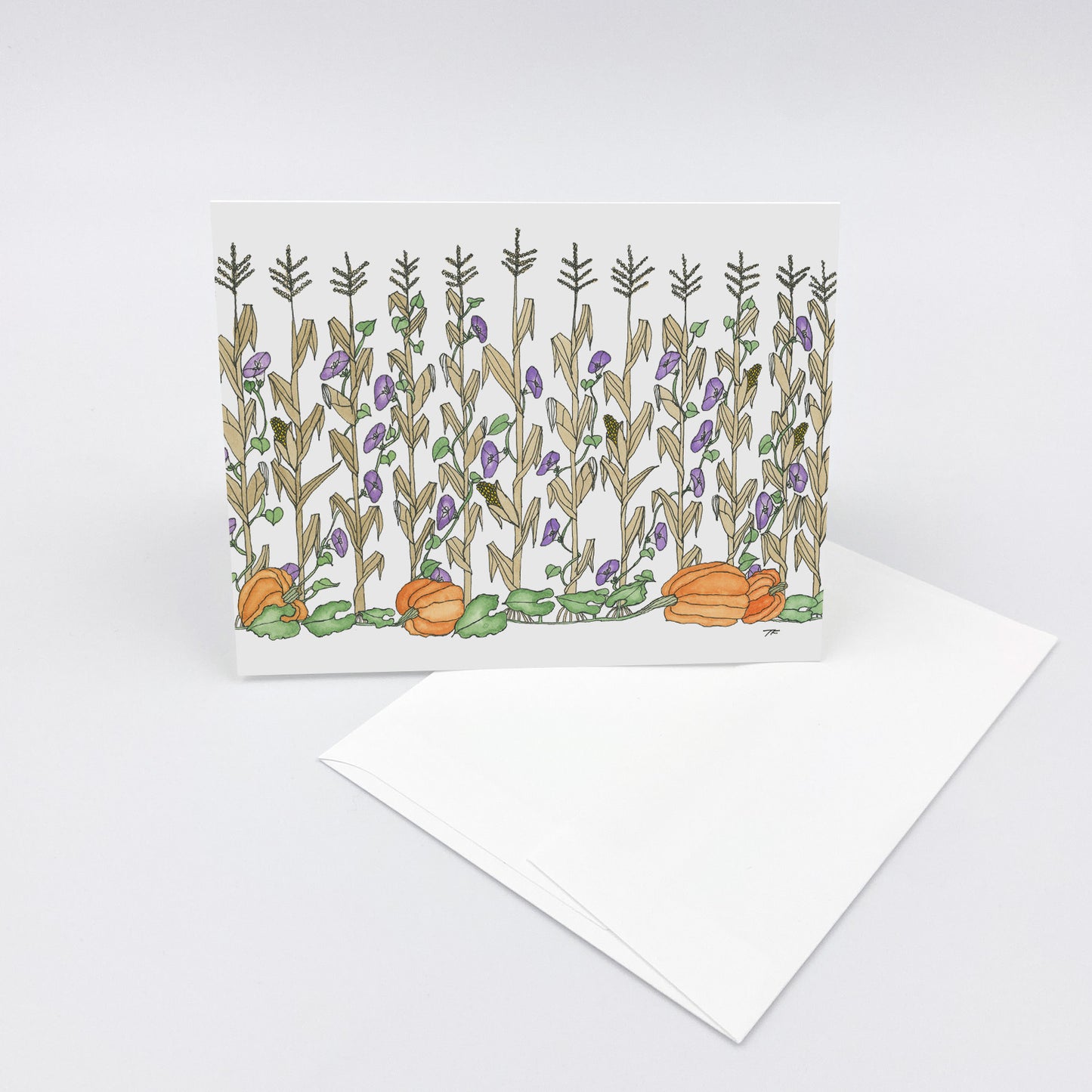 TG 003 Morning Glory Vine Landscape