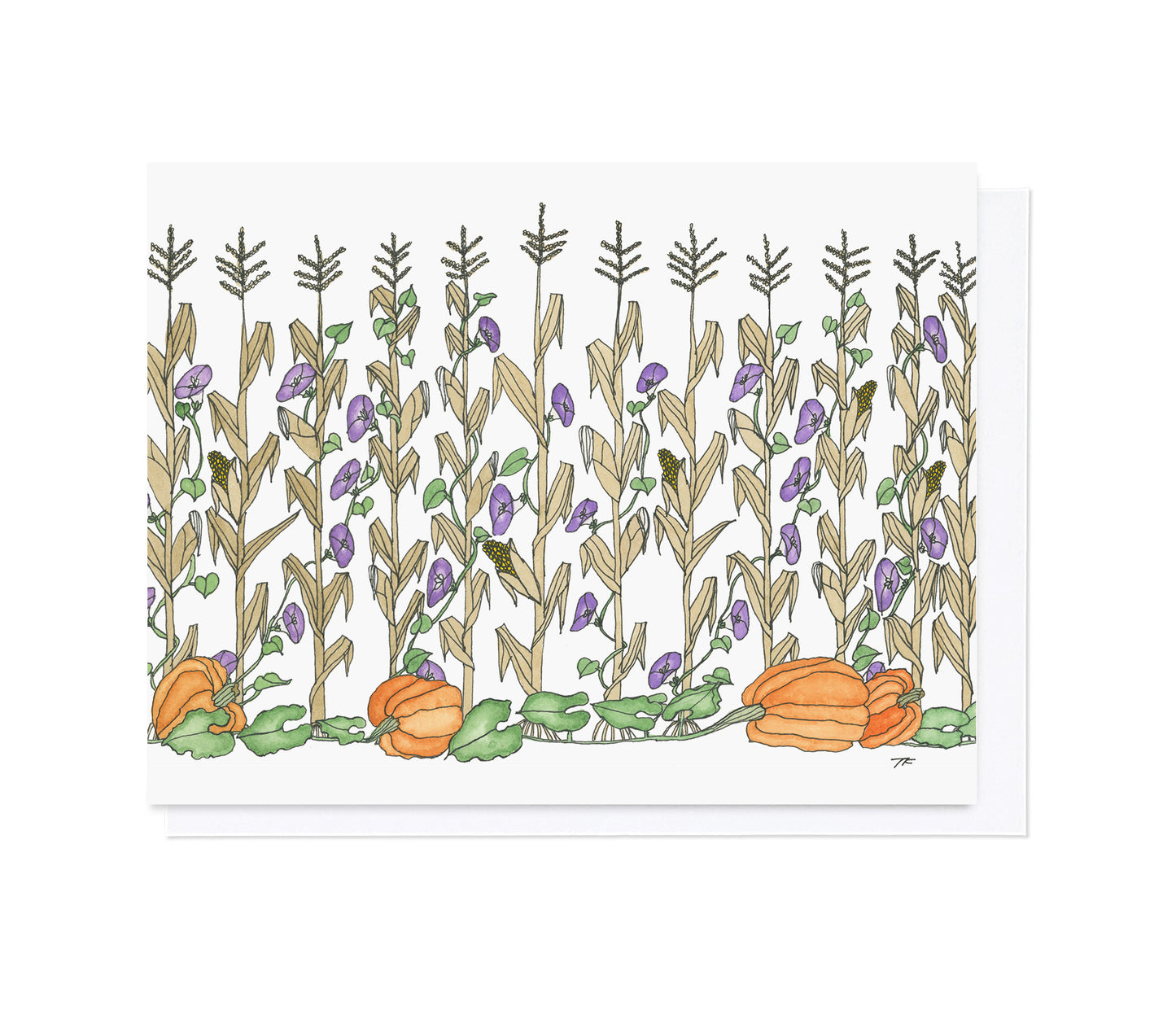 TG 003 Morning Glory Vine Landscape