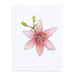 BT 006 - Pink Lily