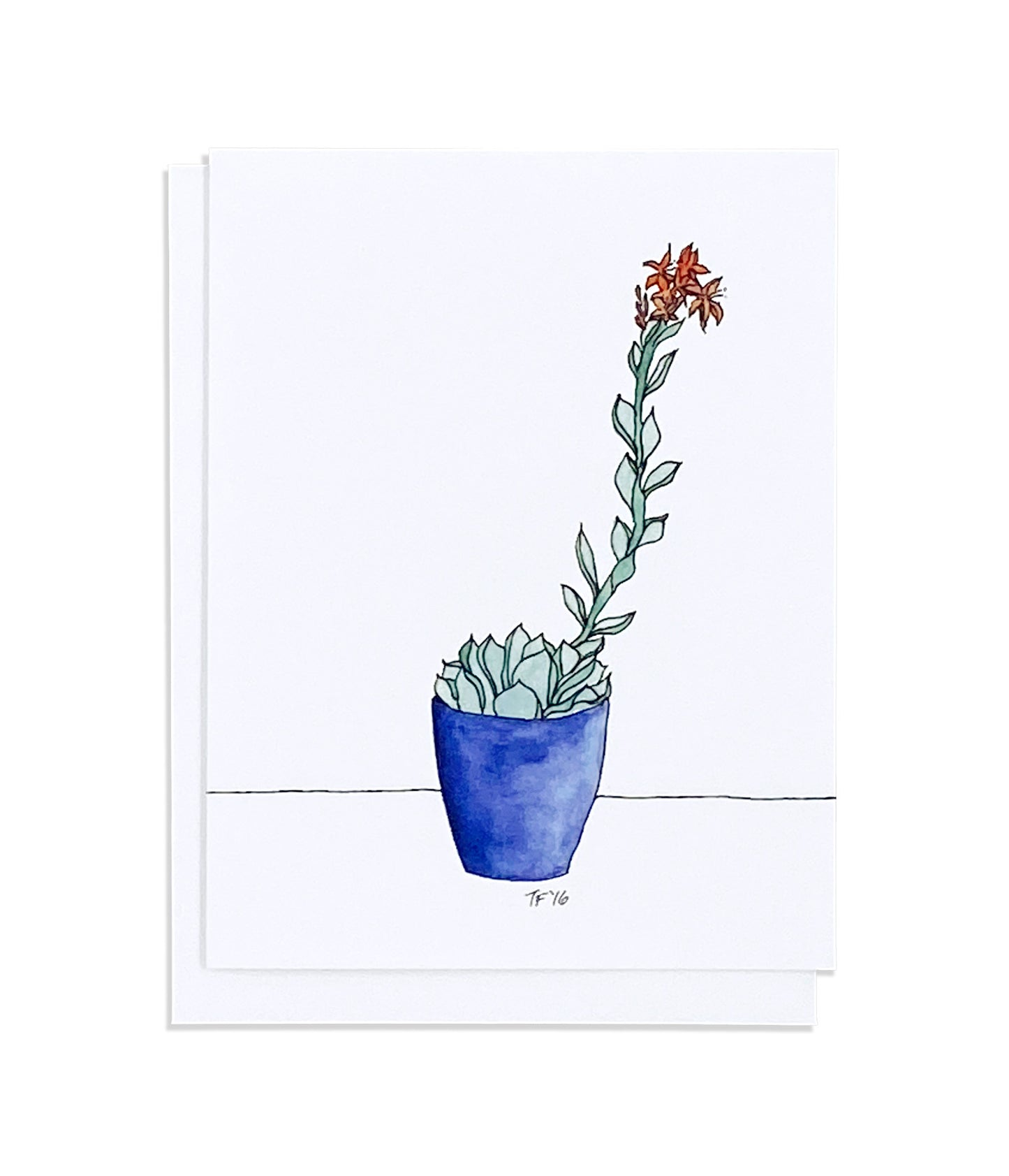 BT 003 - Succulent in Blue Pot
