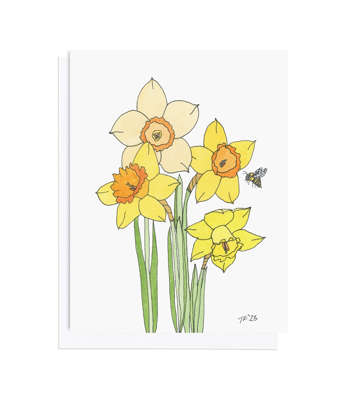 BT 013 - Daffodils