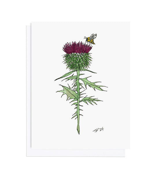 BT 015 Scottish Thistle