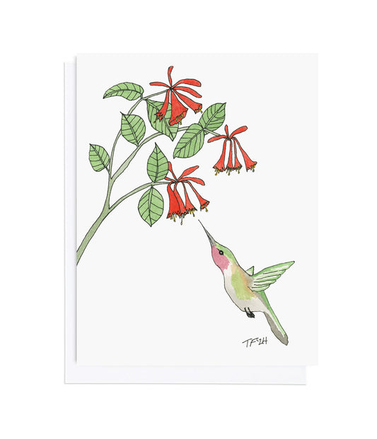 BT 019 Lonicera Sempervirens and Hummingbird