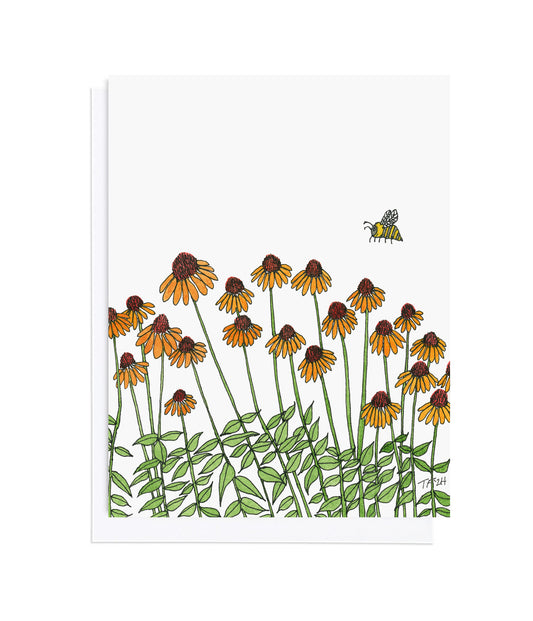 BT 022 Echinacea and Bee  (Illustration extends to back)