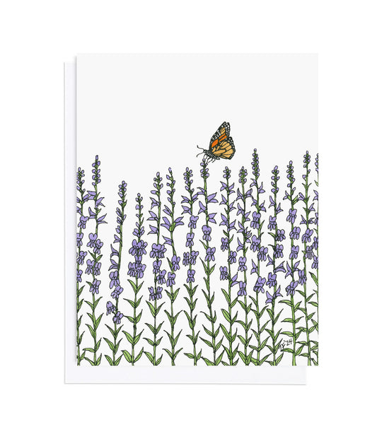 BT 021 Penstemon Strictus and Monarch Butterfly (Illustration extends to back)