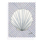 OC 016 Scallop Shell on Grid
