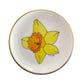 STDA 002 Daffodil