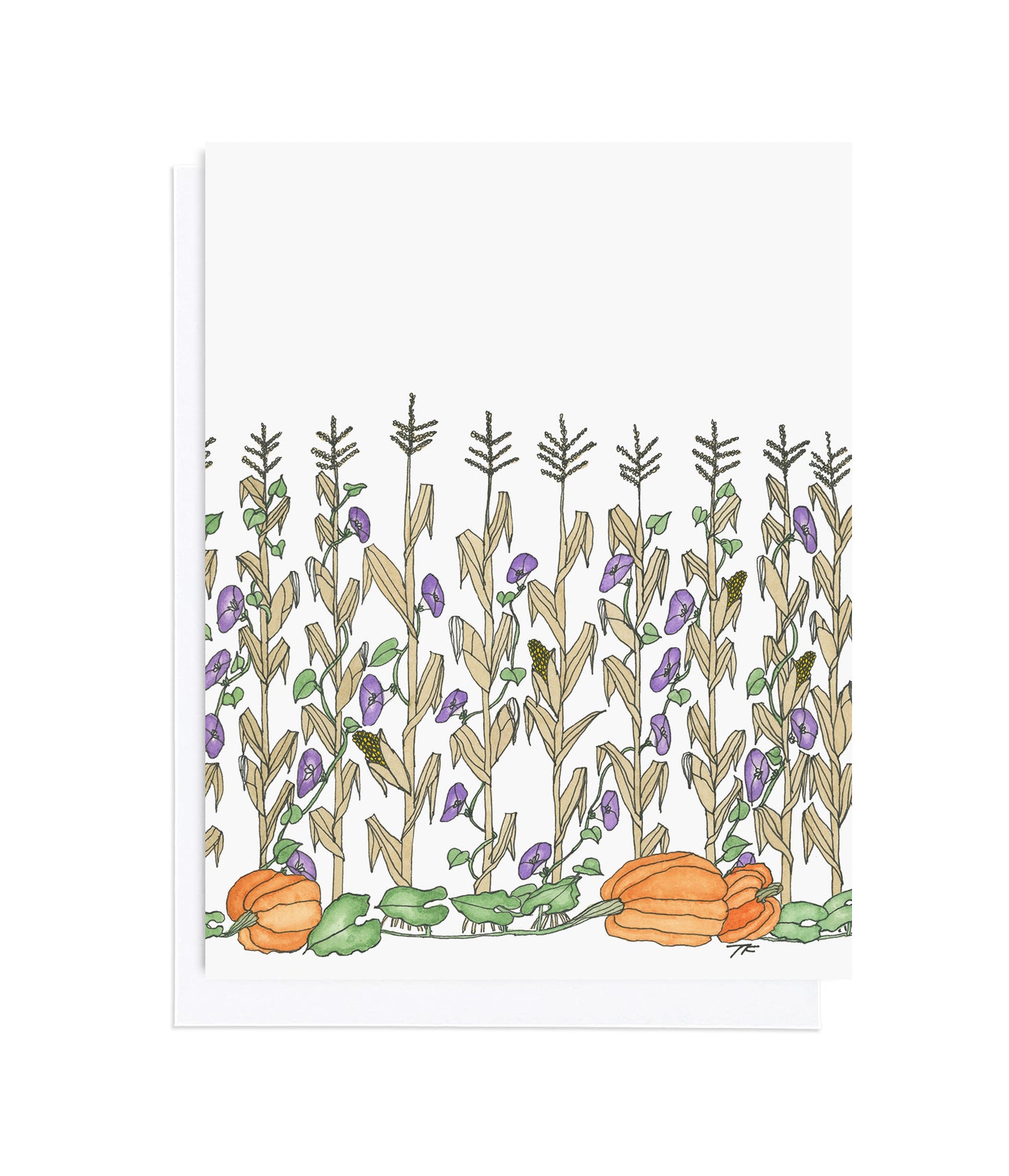 TG 005 Morning Glory Vine Vertical
