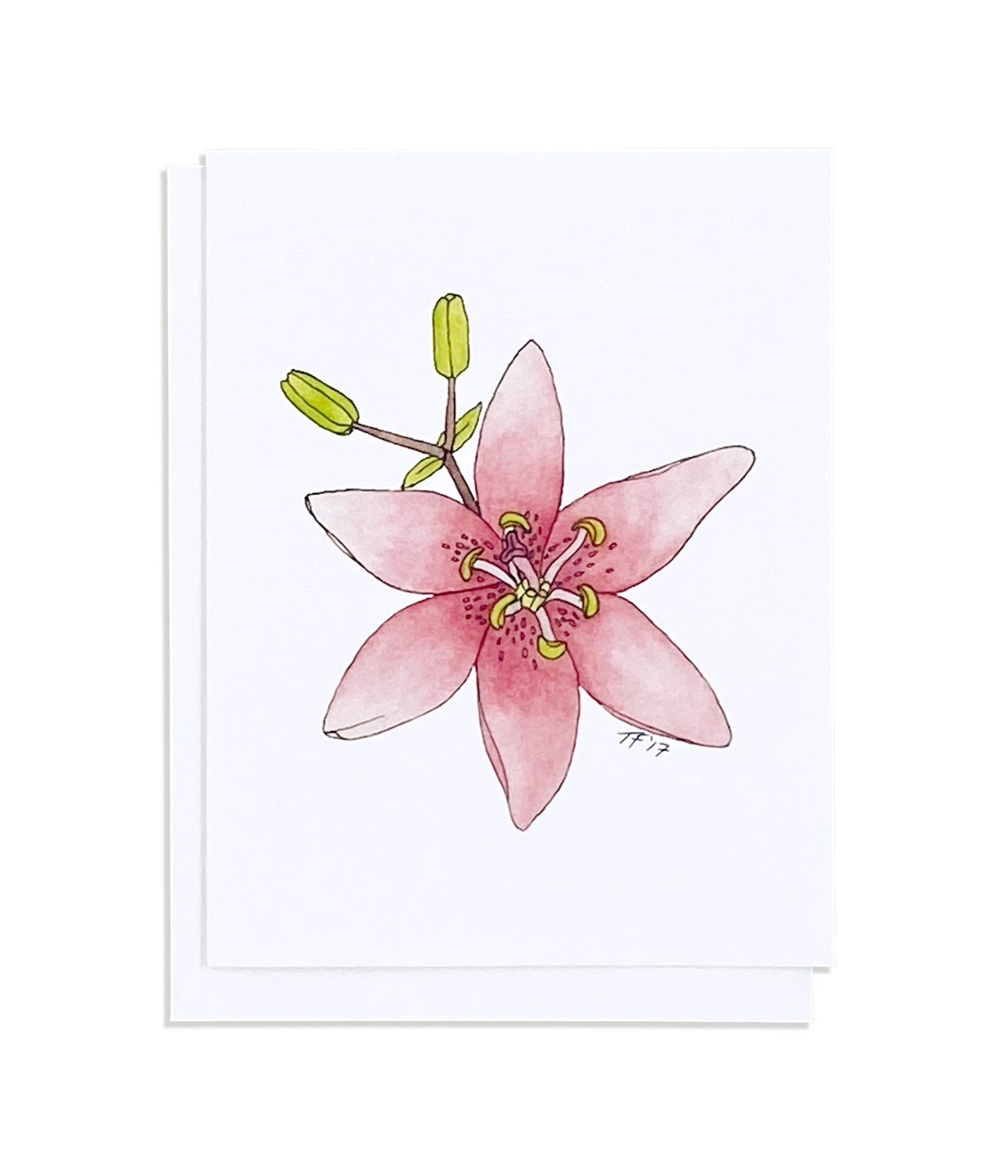 BT 006 - Pink Lily